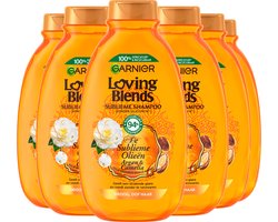 Garnier Loving Blends Argan & Cameliaolie Voedende, Glansgevende Shampoo Voordeelverpakking - Droog en Dof Haar - 6 x 300ml